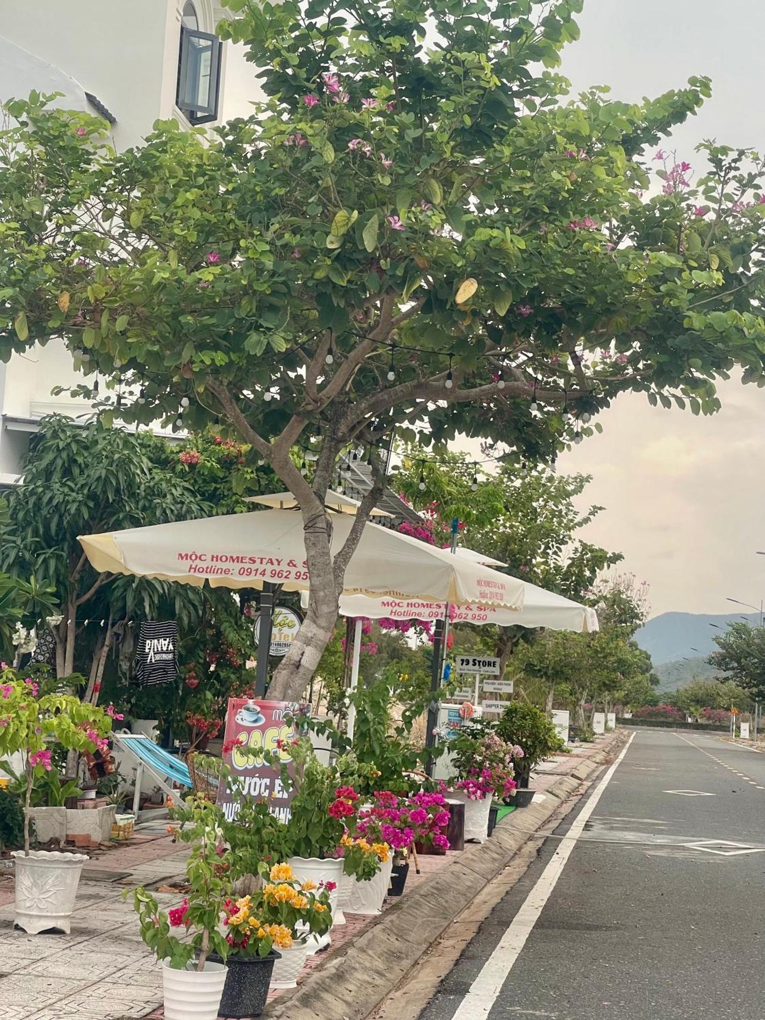 Moc Homestay- Near Bai Dai Beach Cam Lam Екстериор снимка